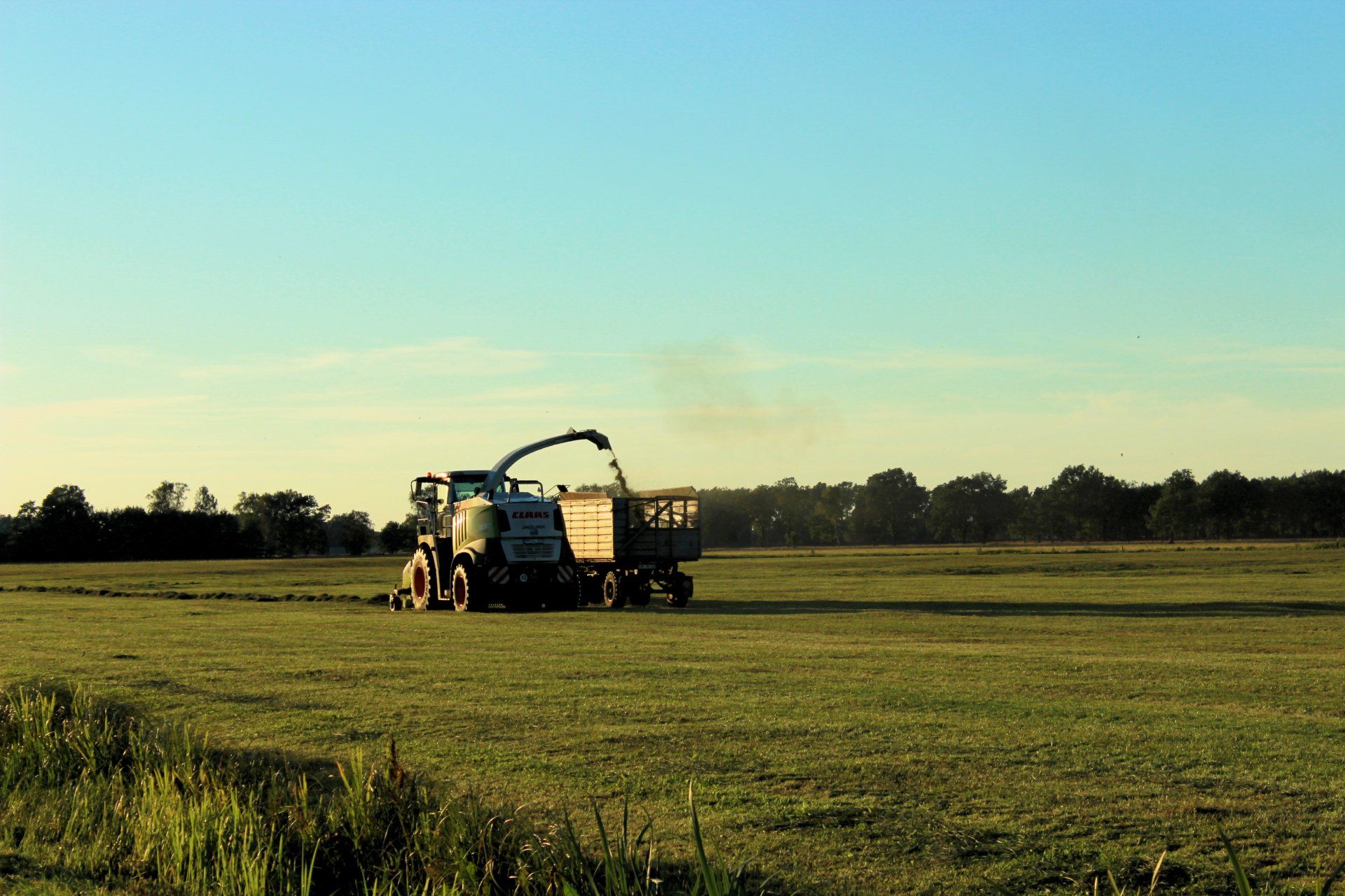 Ausbildungsberufe anzeigen Die Landwirtschaft bietet verschieden Ausbildungsberufe an.