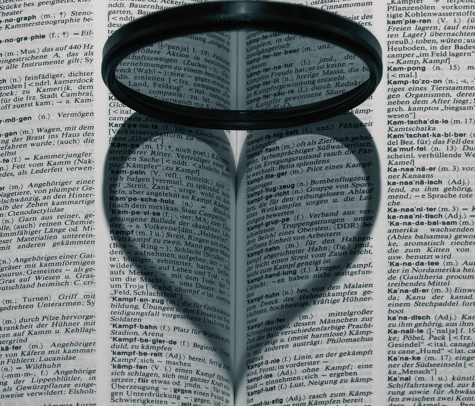 Veränderung der Perspektive durch Schattentherapie/Psychotherapie