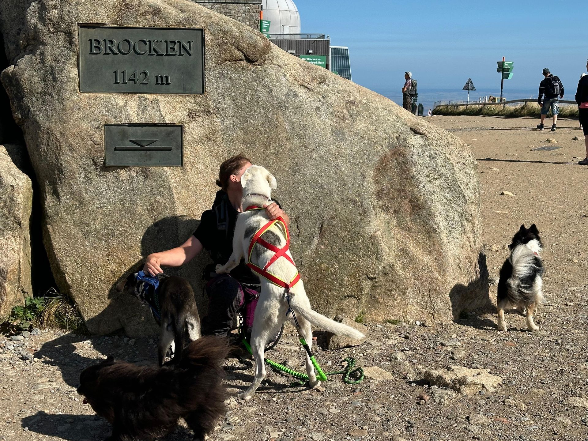 Lisa Panneberg mit ihren Hunden auf dem Brocken