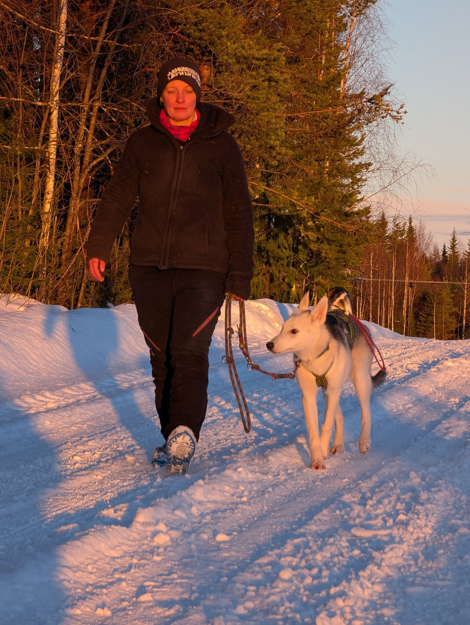 Lisa Pannenberg mit einem jungen Alaskan Husky