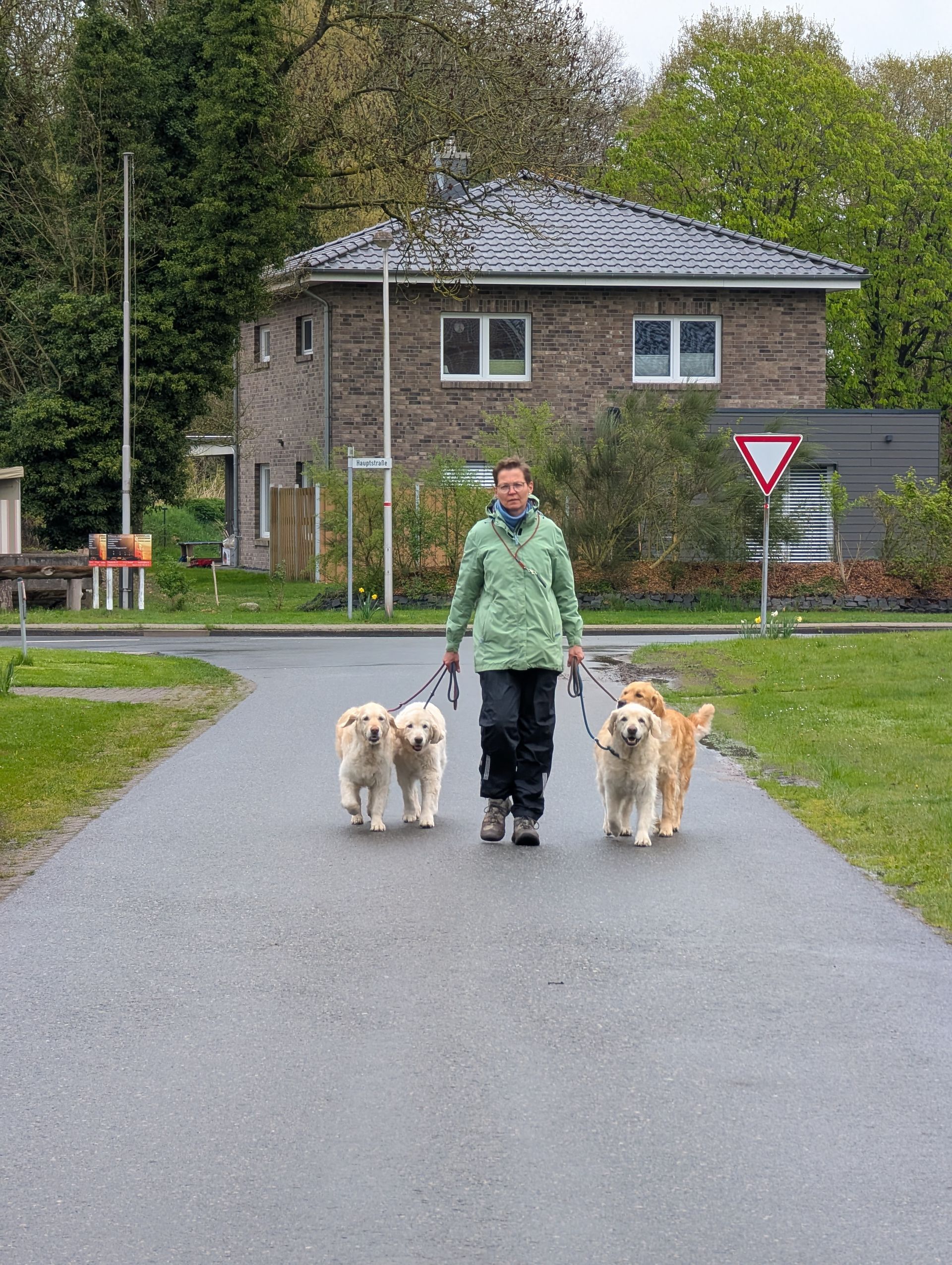 PfotenPfad: Michaela läuft mit vier Hunden
