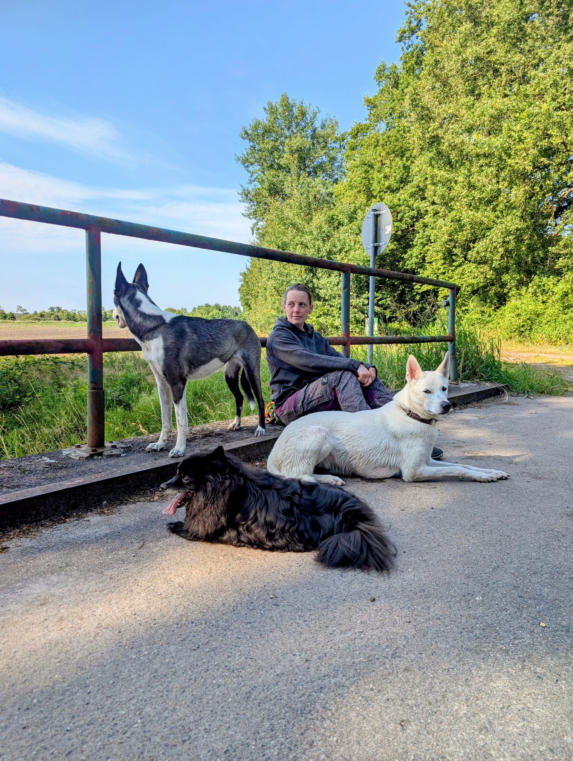 Lisa Pannenberg mit ihren Hunden sitzend auf einer Brücke
