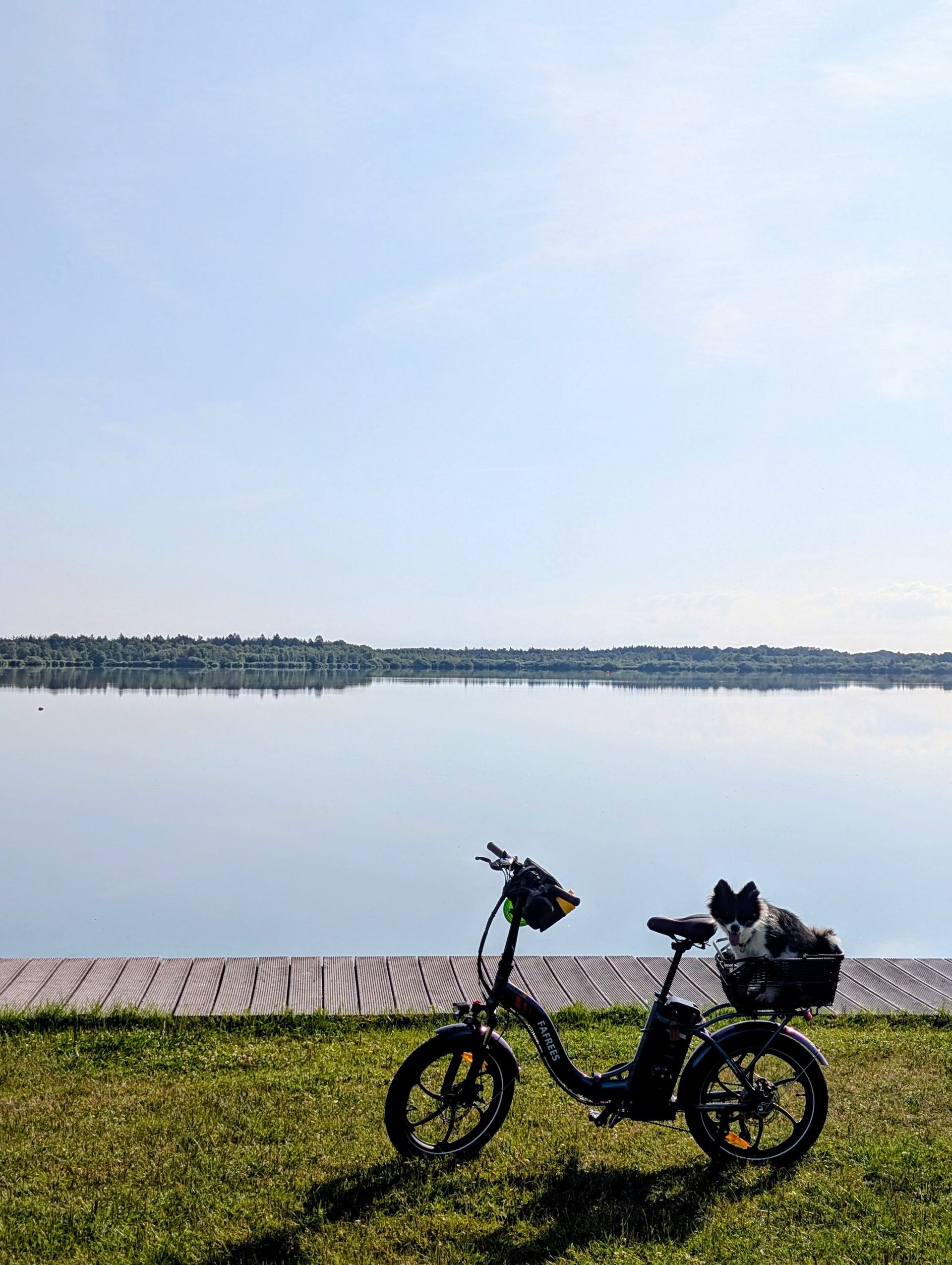 Am See in Bederkesa mit Rad und Hund Elin