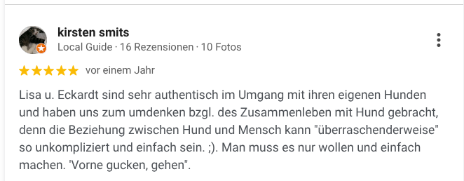 Rezension über den Pfoten-Pfad bei Google