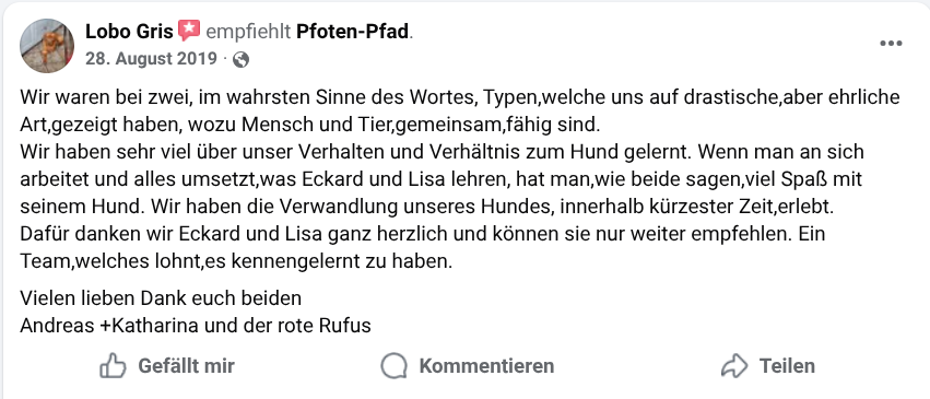 Google Bewertung Pfoten-Pfad
