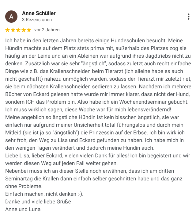 Google Bewertung Pfoten-Pfad