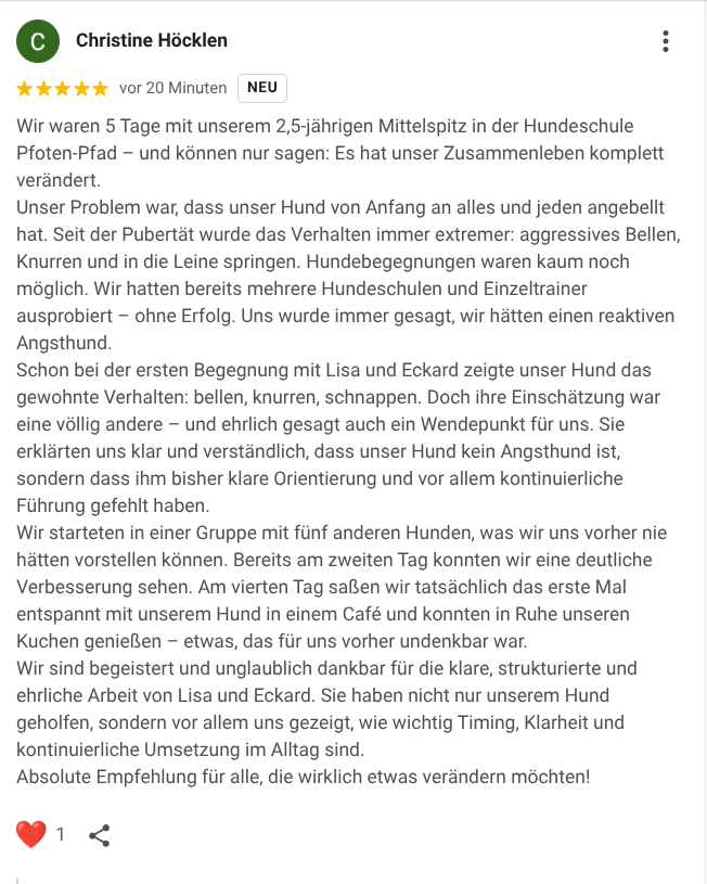 Google Rezension Pfoten-Pfad