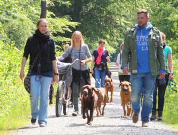 Eine Gruppe von Hundehaltern, die auf dem Pfoten-Pfad waren, geht mit ihren Hunden durch den Wald.