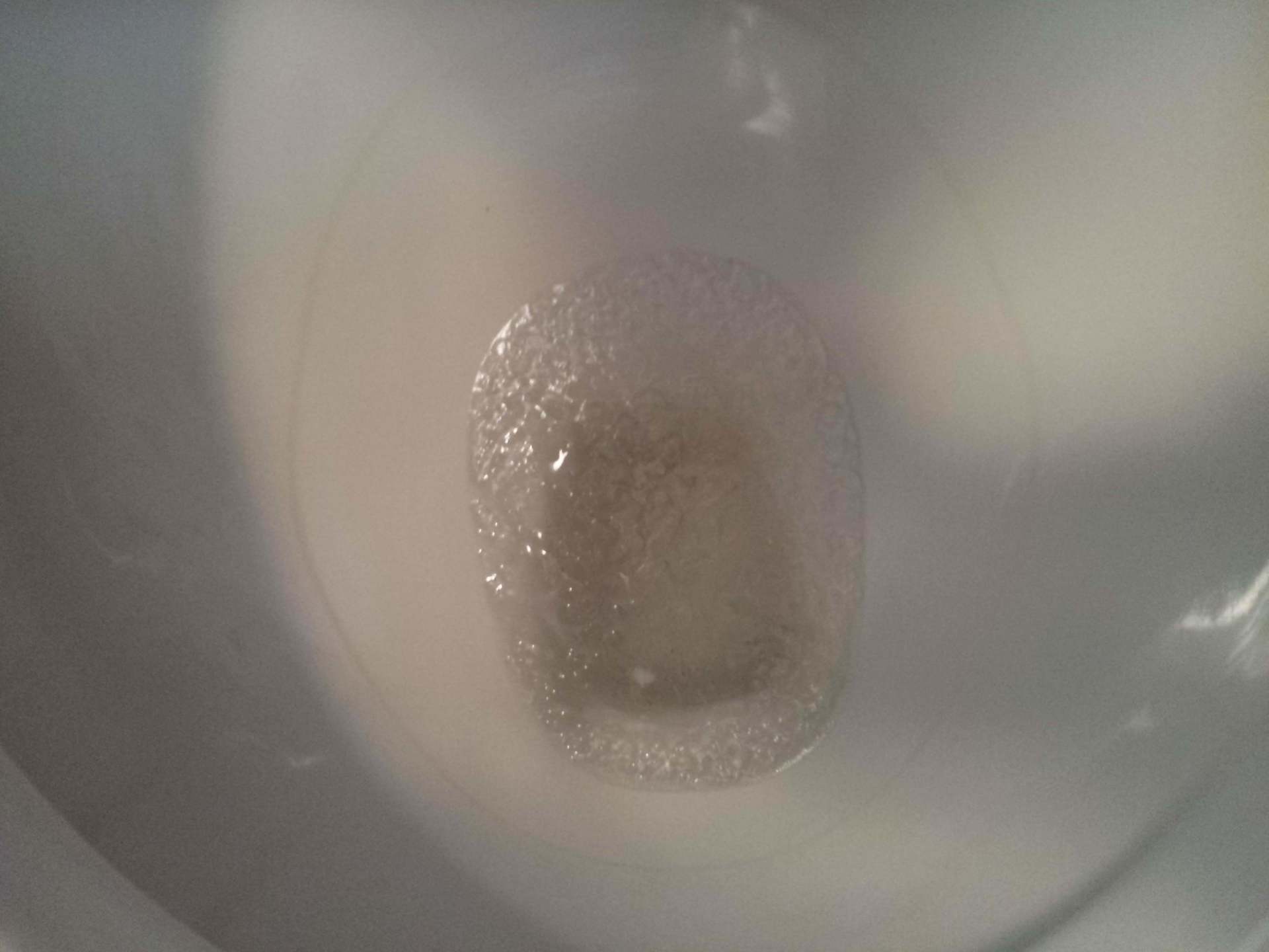 frozen pipes