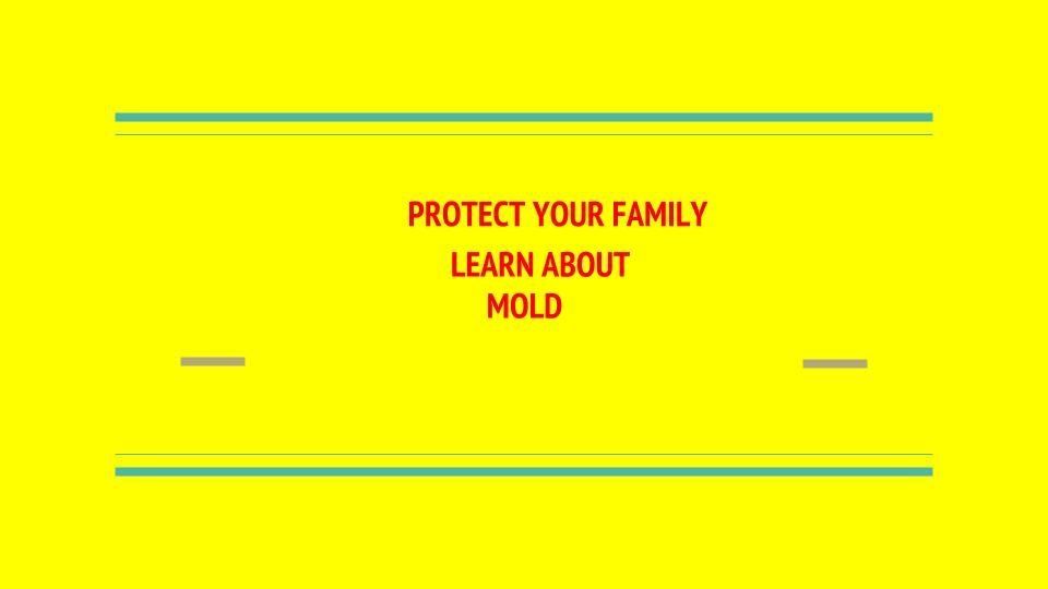 mold in your home
