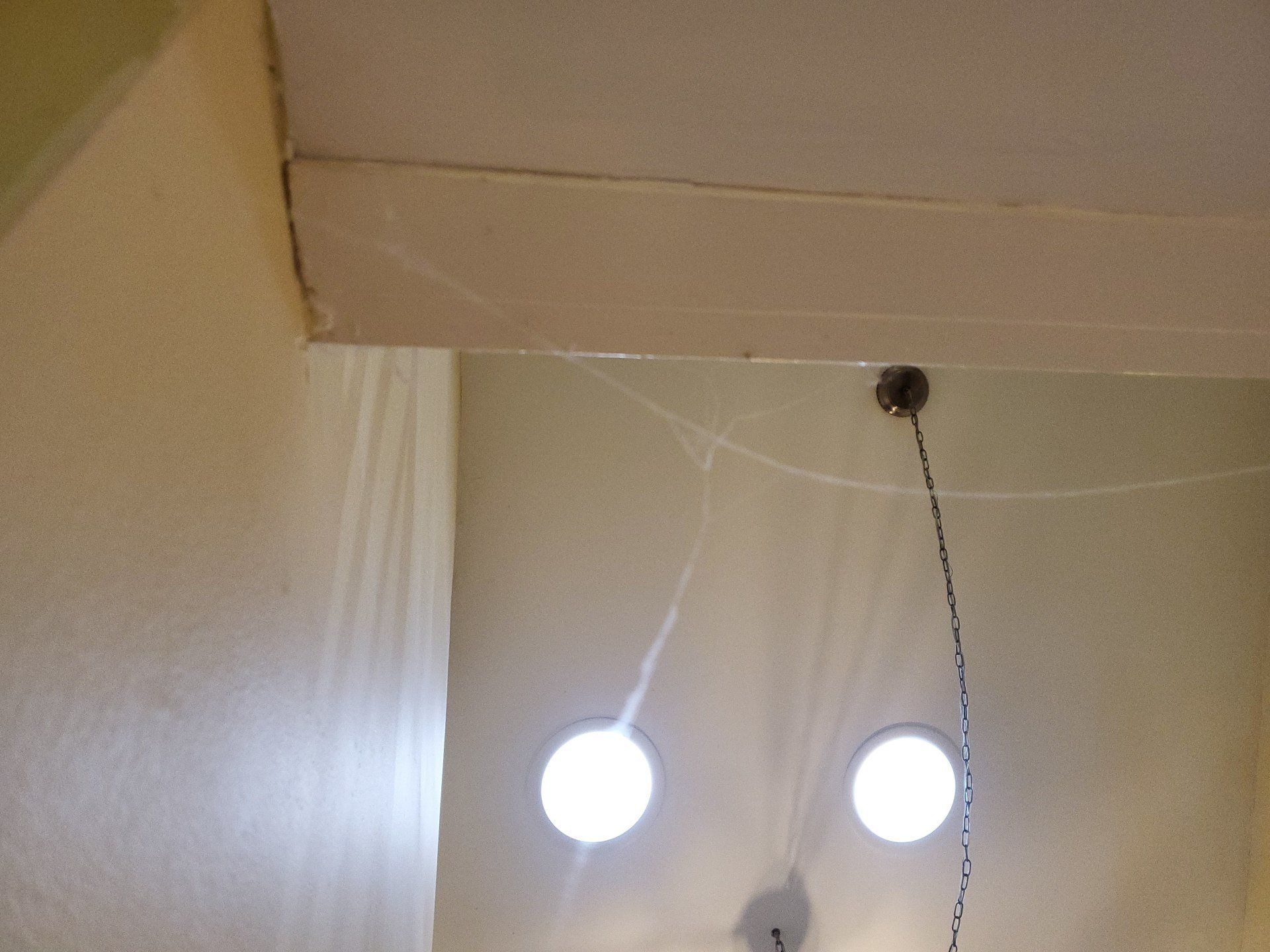 cobweb dust web