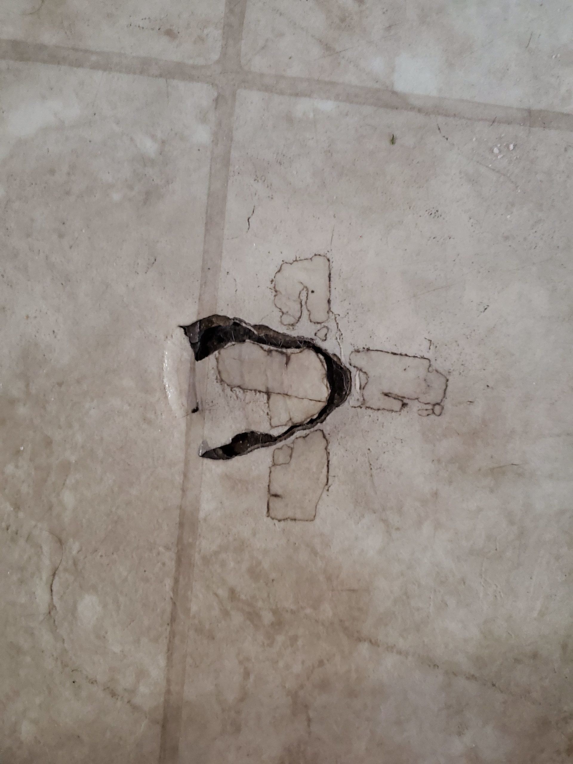 Replace The Floor