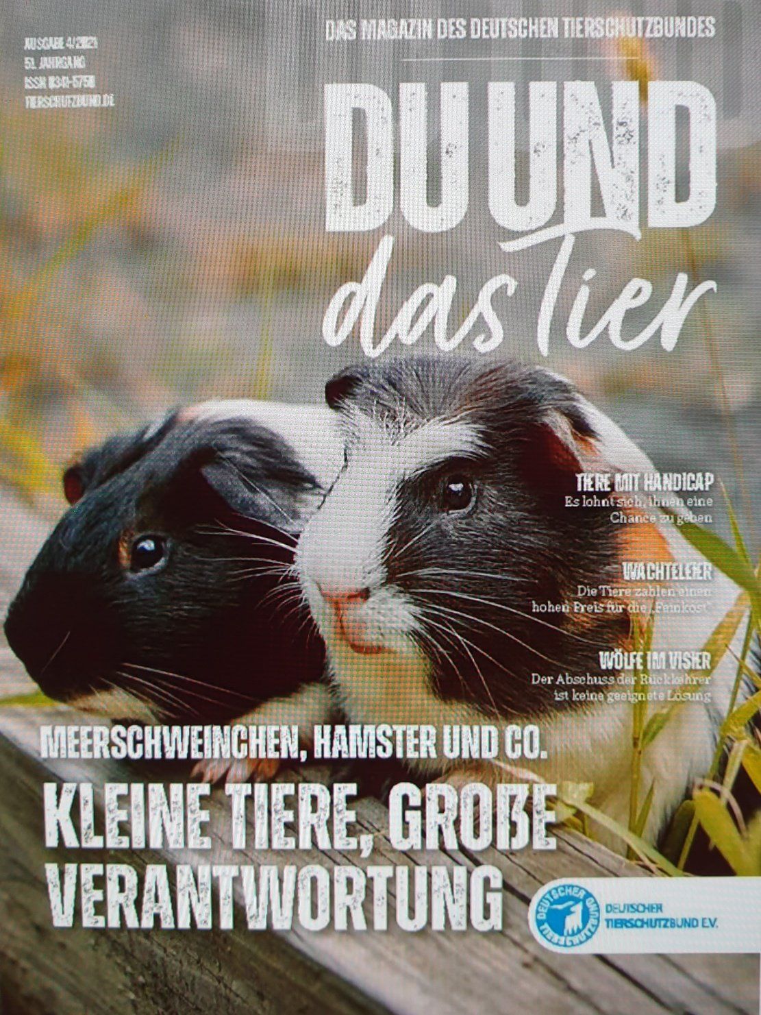 Tierschutz Kleintiere Kaninchen Meerschweinchen Hamster