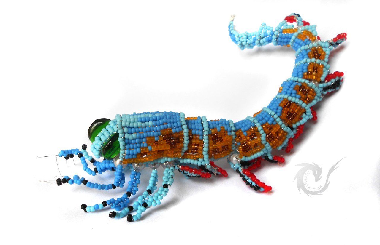 Beaded Yohoia tenuis
