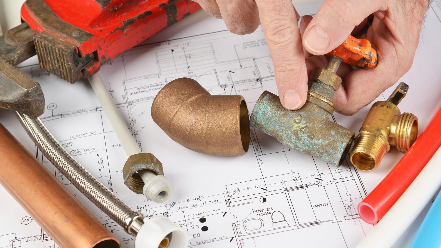 Professionally qualified and Insured