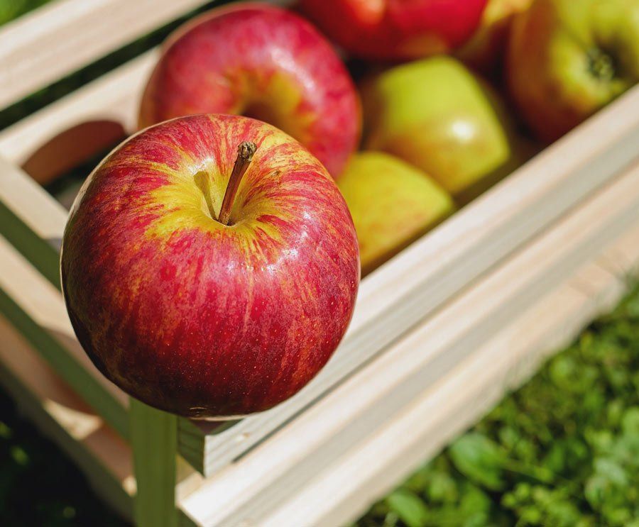 Äpfel vom Bodensee im Dorfmarkt Siefenhofen