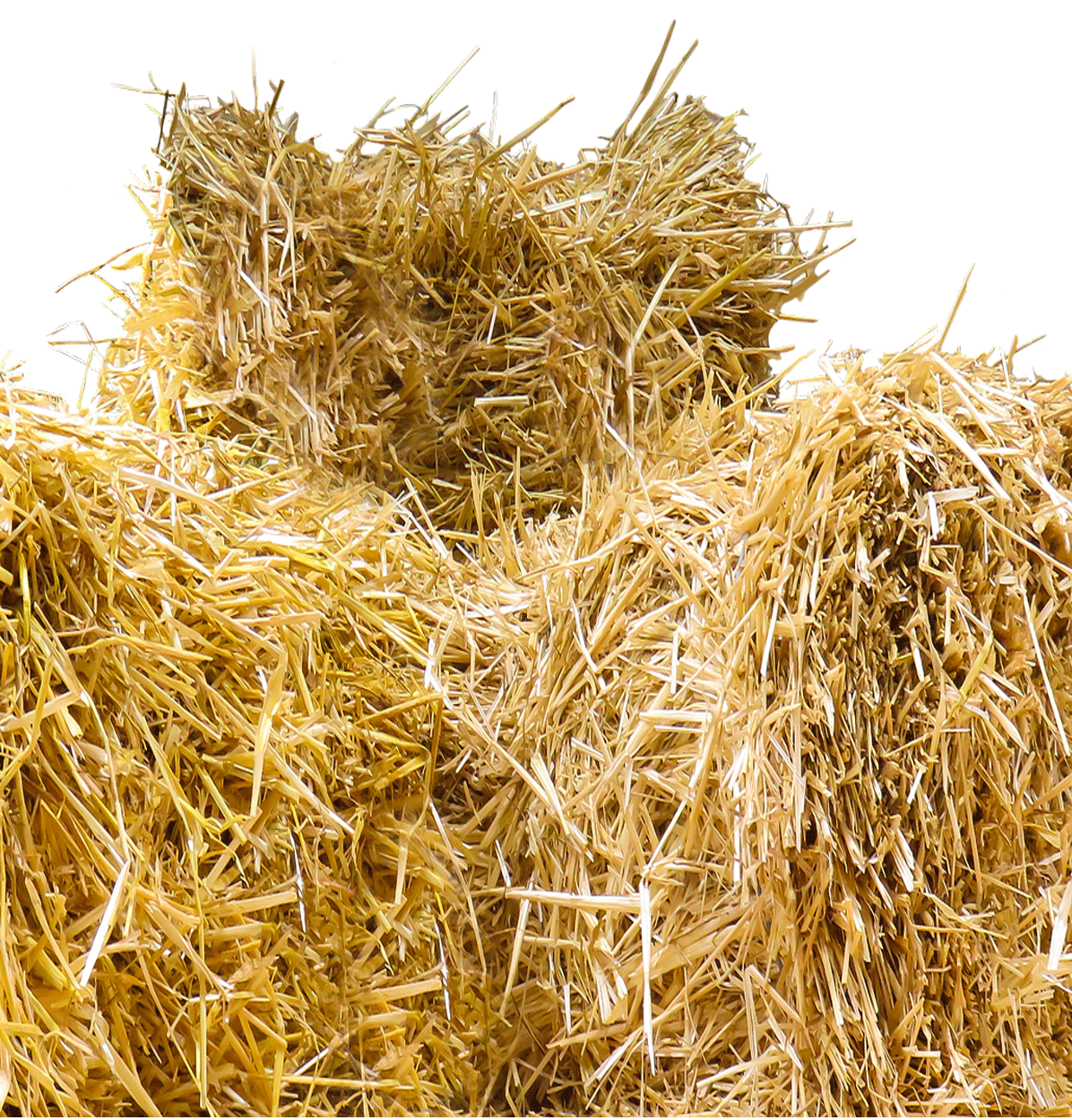 Einstreu - Strohballen im Agrarmarkt Stiefenhofen
