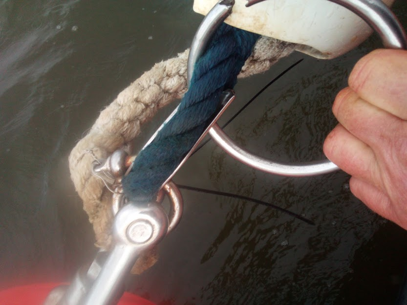Ring failed