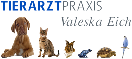 Tierarztpraxis Valeska Eich Tierarztpraxis Valeska Eich, Budenheimer Parkallee 1, 55257 Budenheim, in der Nähe Mainz