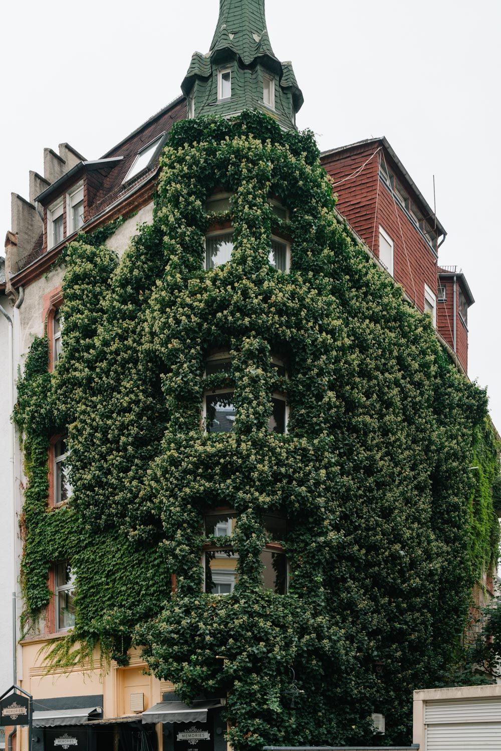 Begrüntes Wohnen in Frankfurt am Main