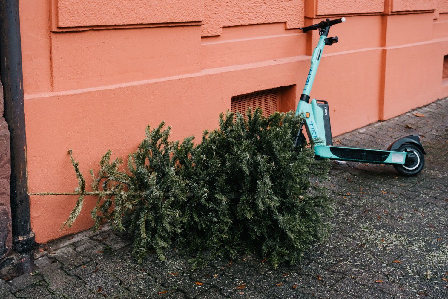 Weggeworfener Tannenbaum und ein Roller