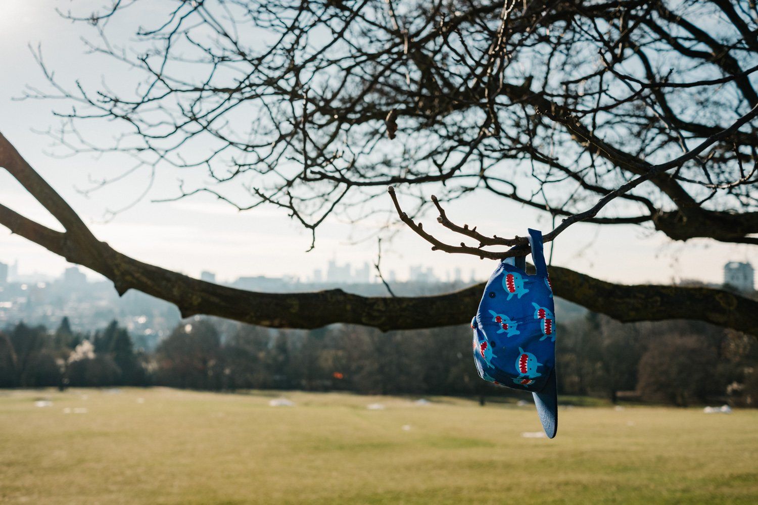 Eine Base-Cap hängt an einem Baum