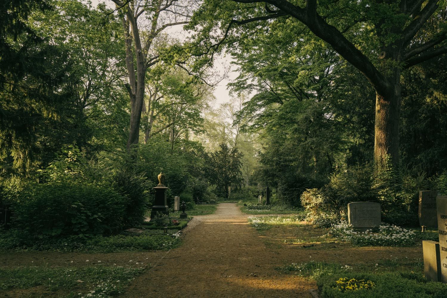 Bäume und Gräber auf einem Friedhof