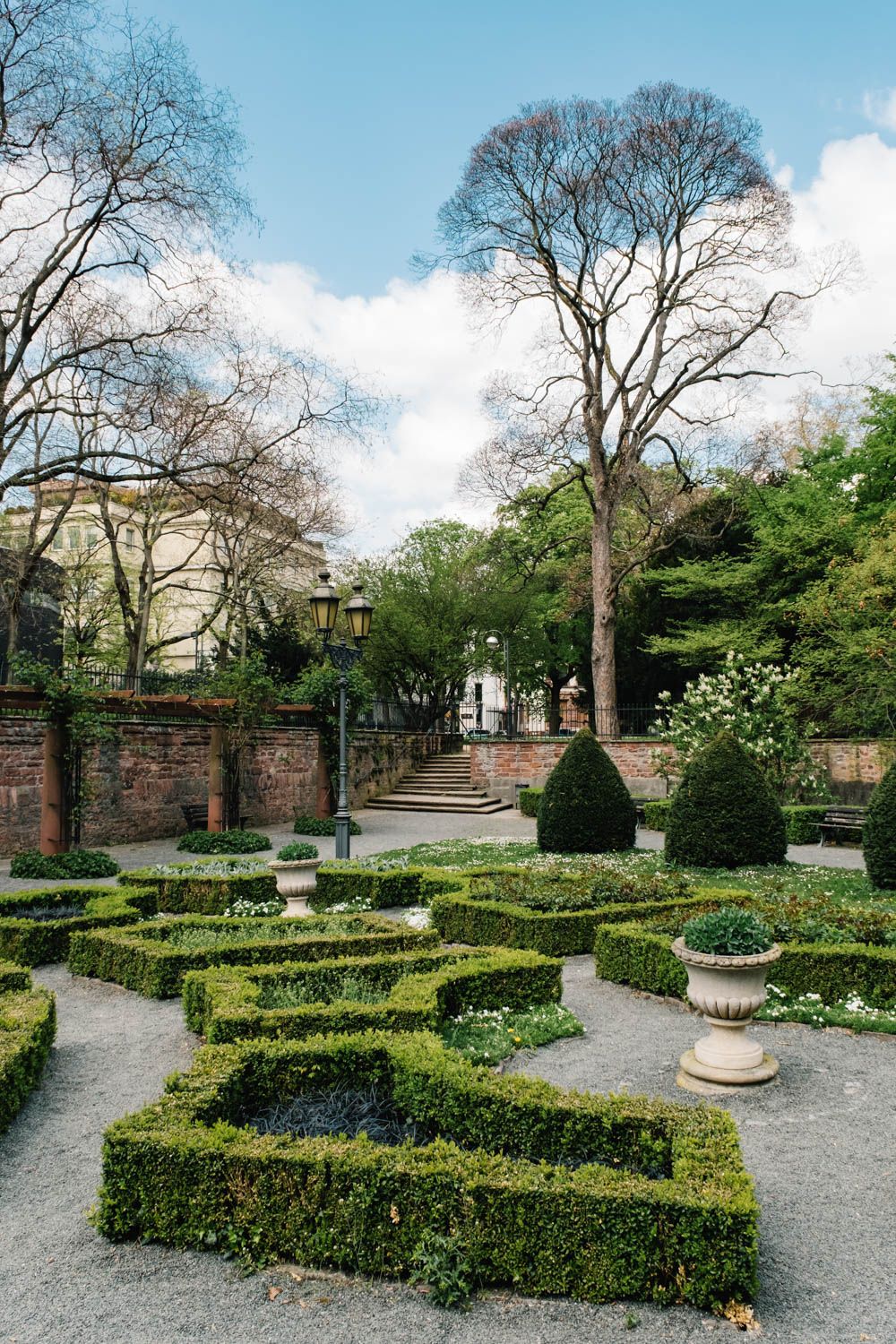 Bäume und Hecken in einer Parkanlage