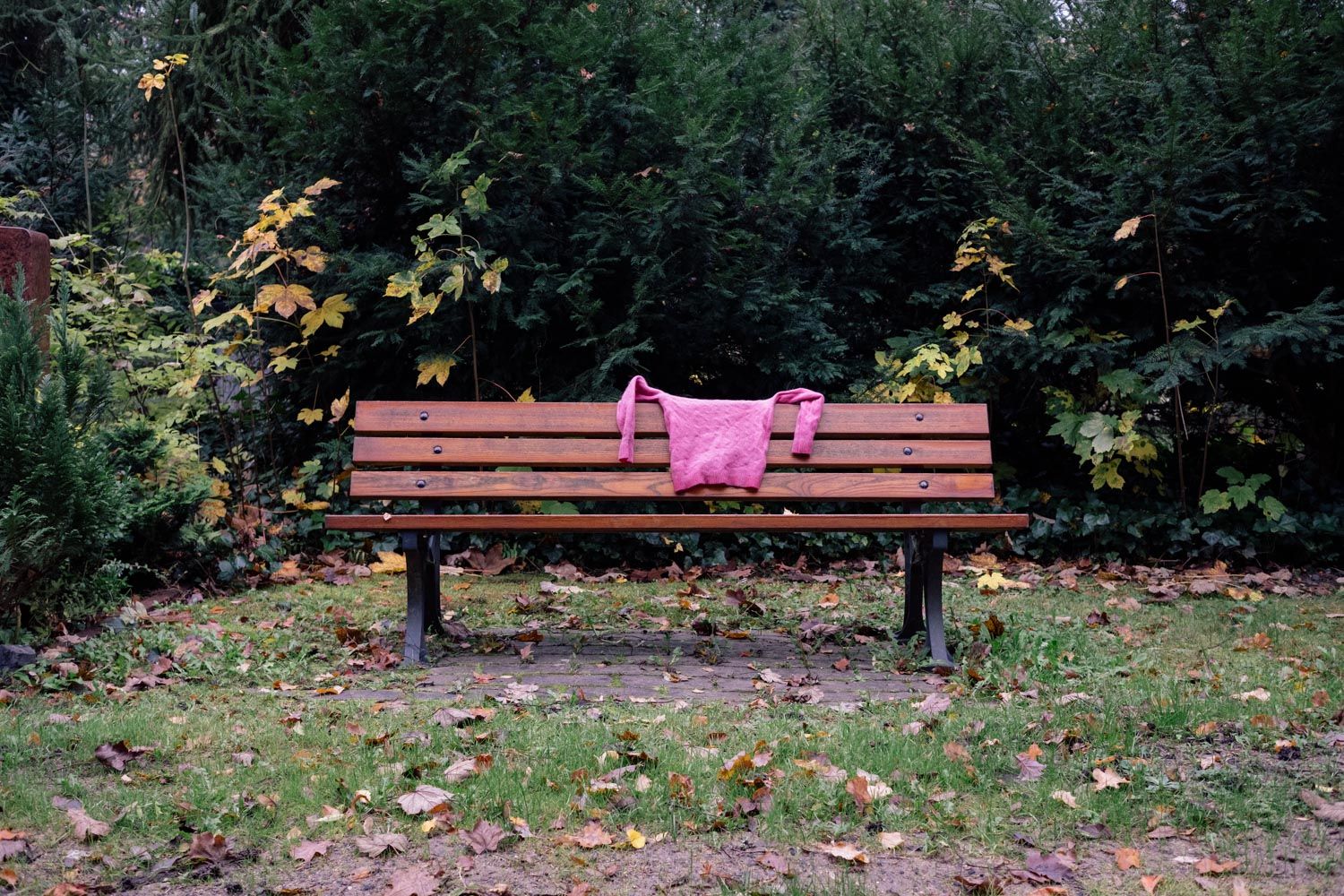 Pinker Pullover liegt auf einer Parkbank