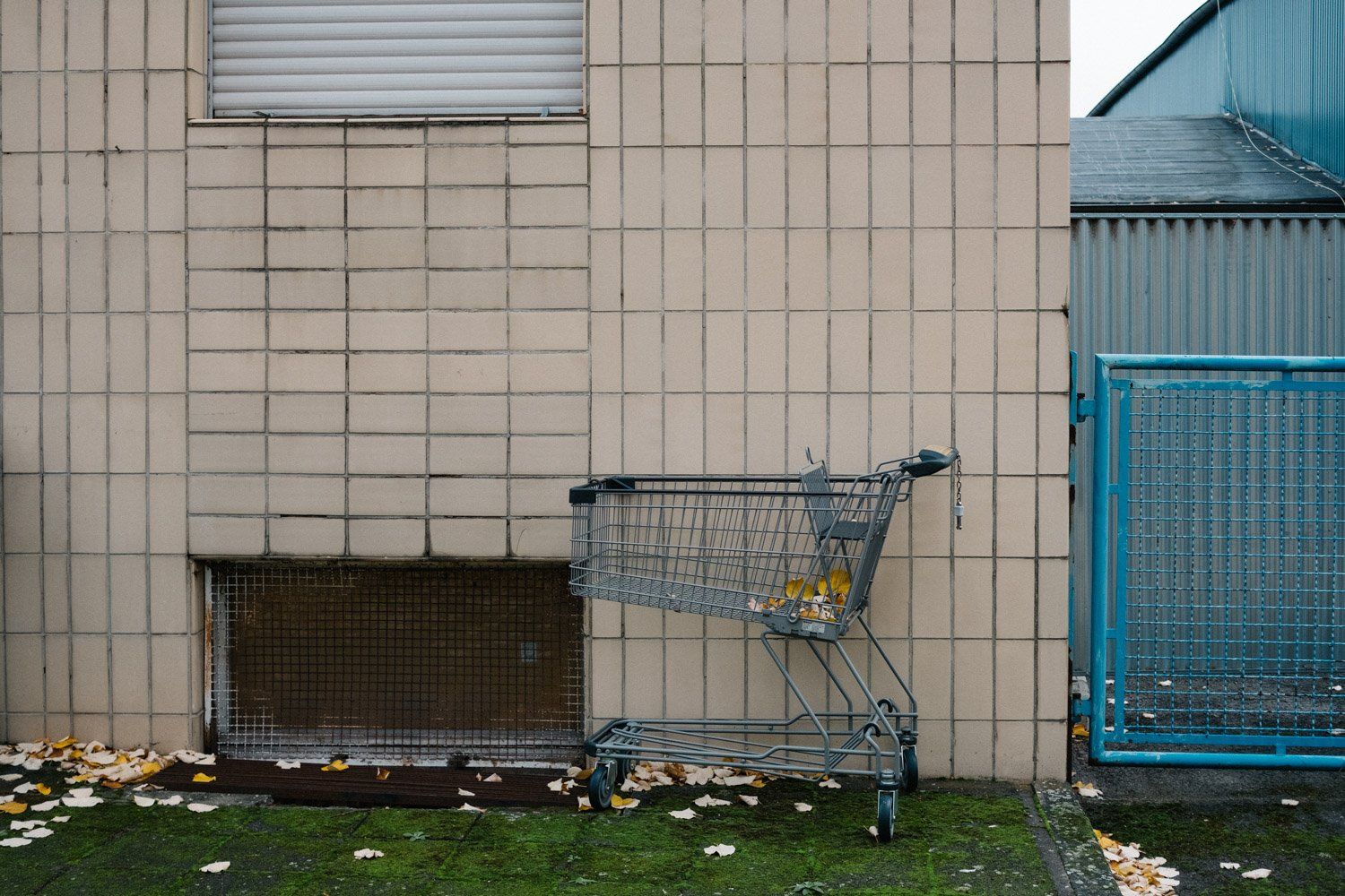 Ein Einkaufswagen steht auf einem Gehweg
