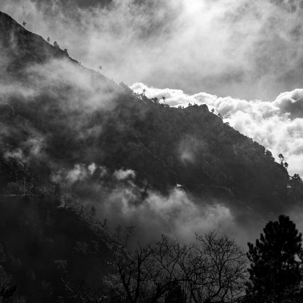 Madeiras Bergwelt im Nebel