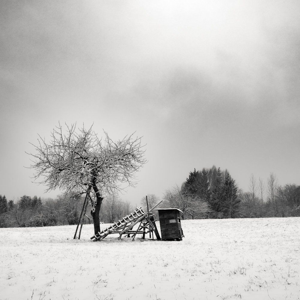 Winterlandschaft