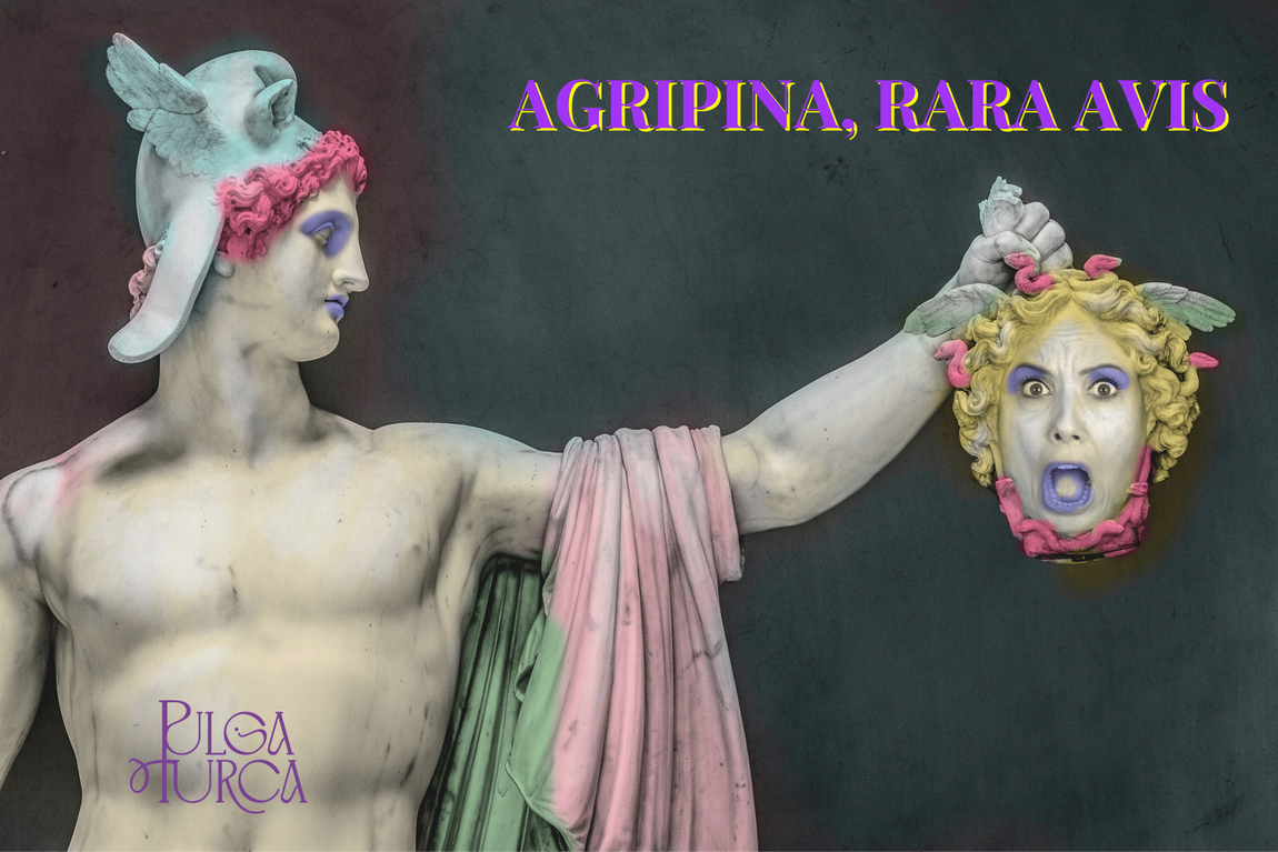 Cartel Agripina, Rara Avis