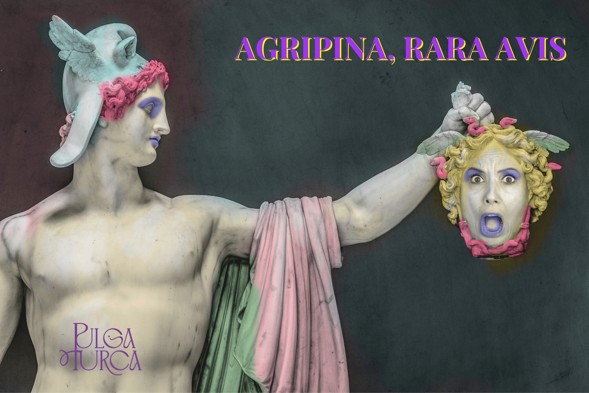 Cartel Agripina, Rara Avis Cartel Agripina, Rara Avis