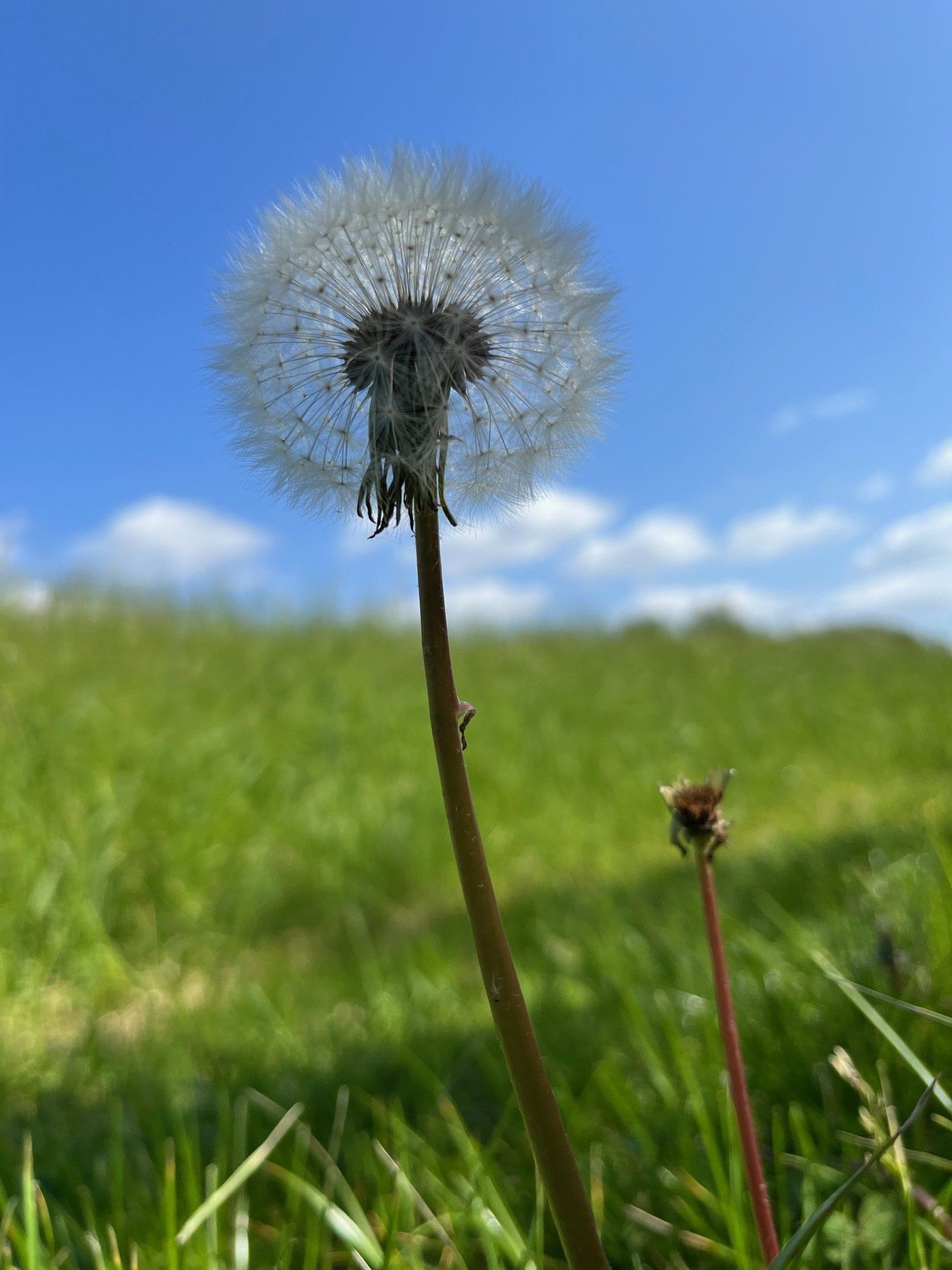 mindful.worker Impuls Coaching mindful.worker Impuls Coaching