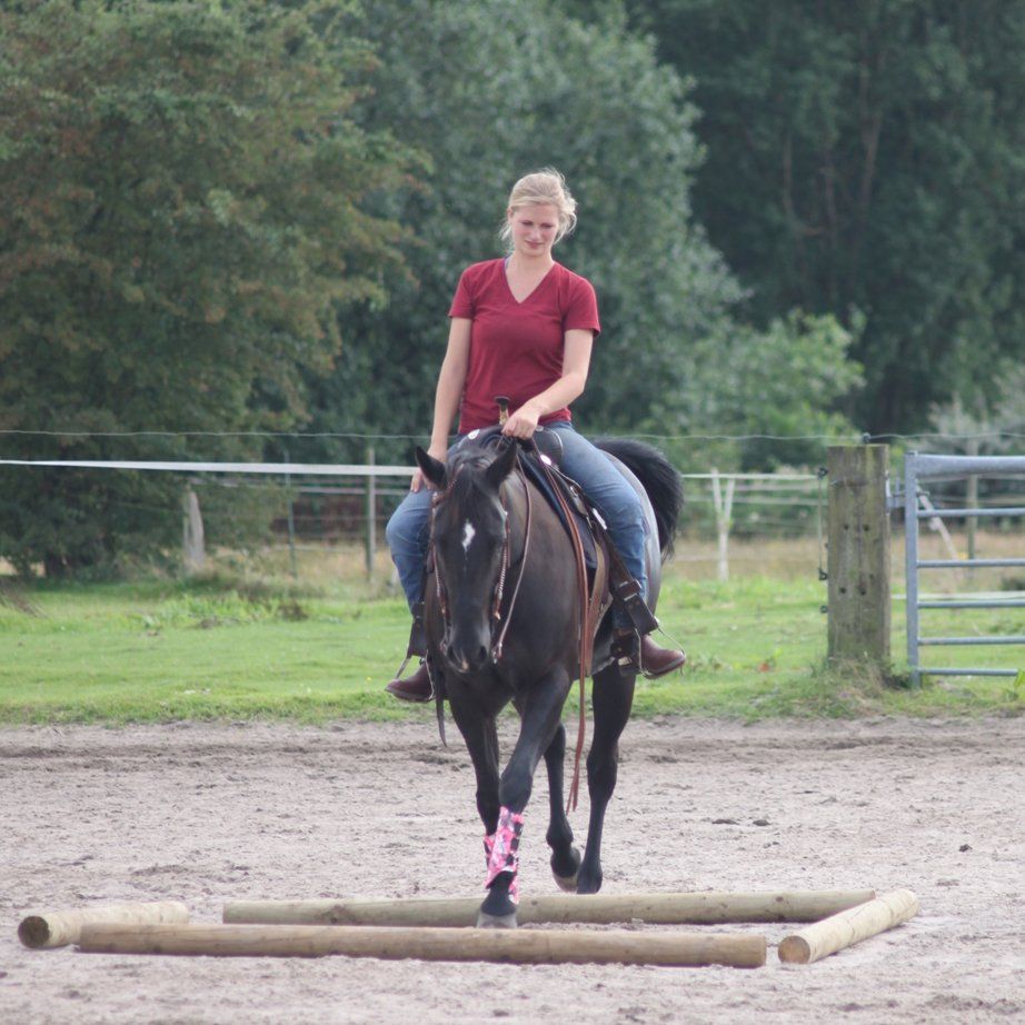 Reitschülerin reitet auf dunkelbraunem Pferd