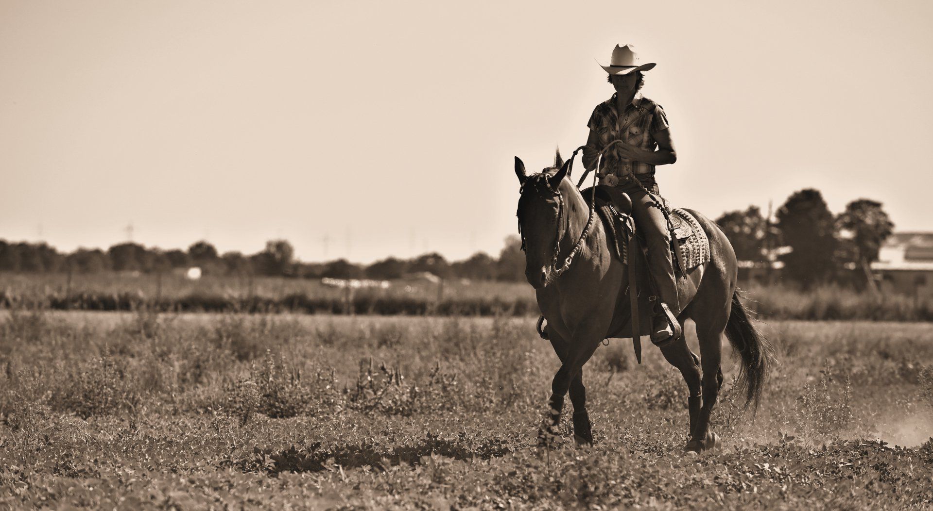 Braunes Pferd mit Reiterin