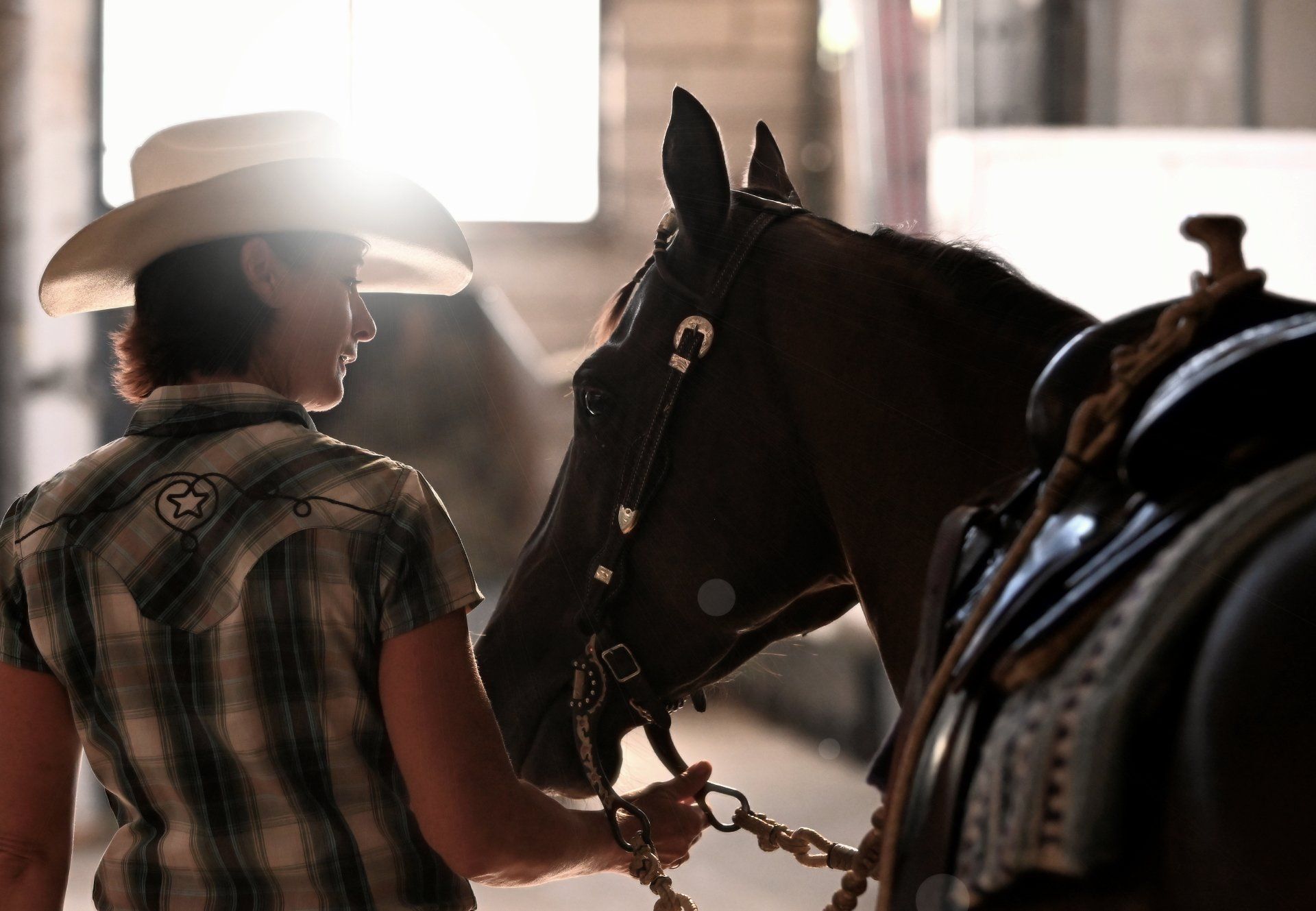 Braunes Pferd mit Reitlehrerin daneben