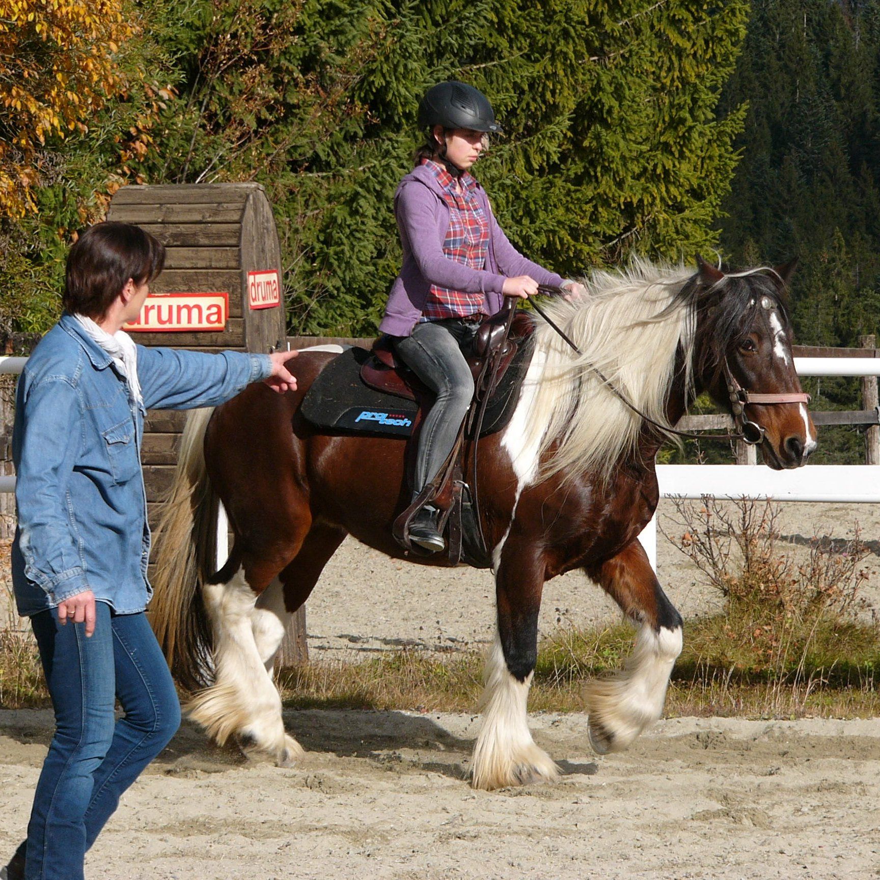 Reitschülerin auf Pferd bekommt Anweisung von Reitlehrer