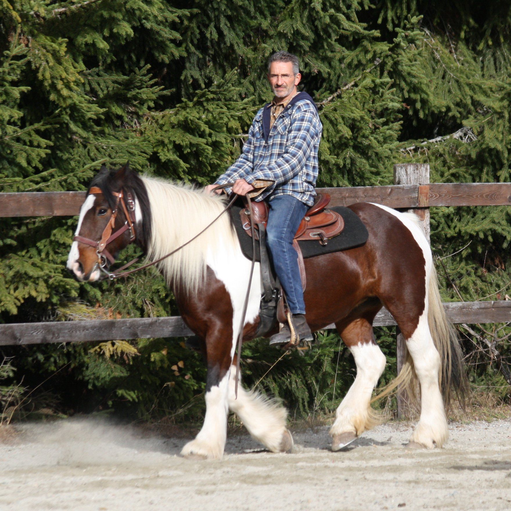 Reitschüler auf gescheckt gemustertem Pferd