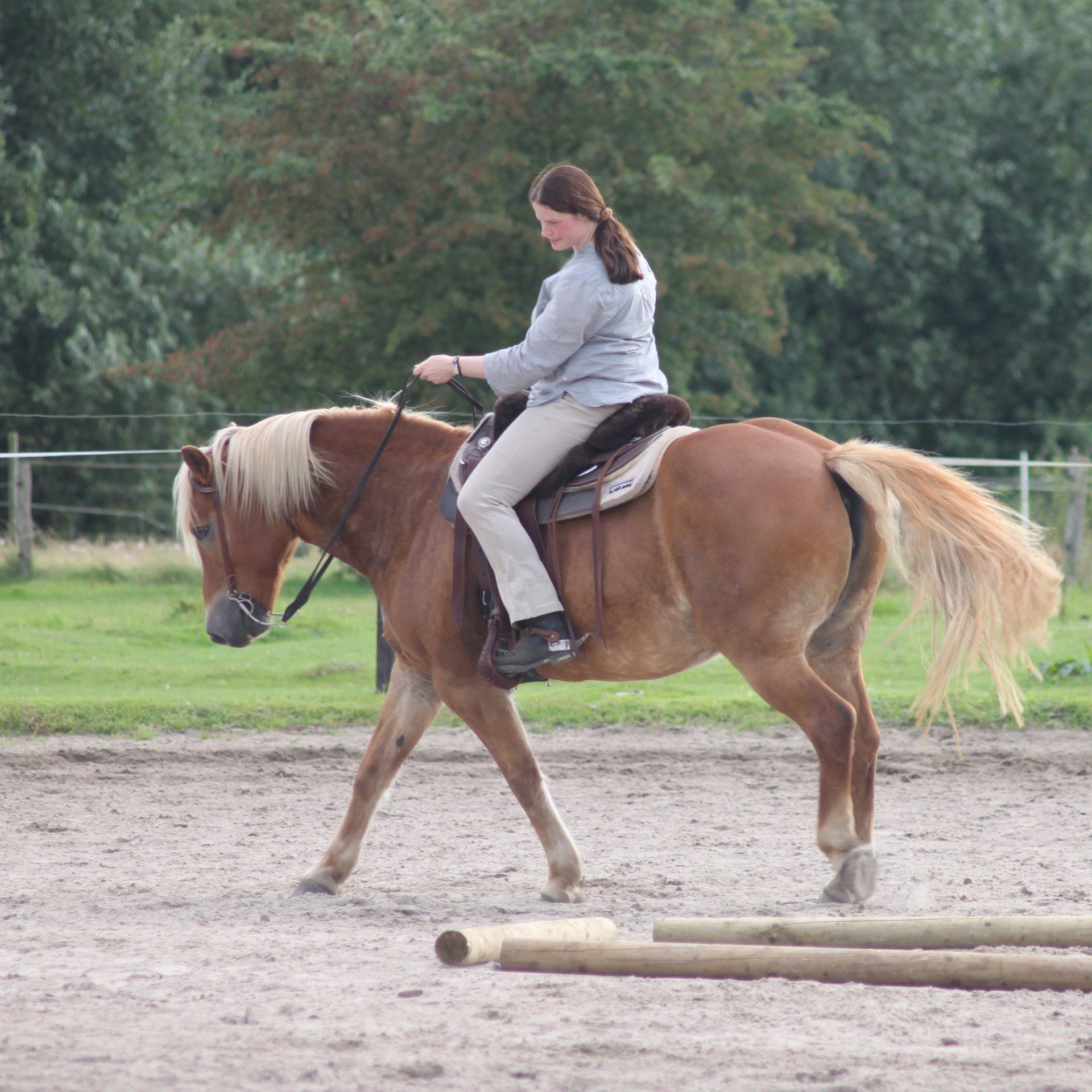 Reitschülerin reitet auf braunem Pferd