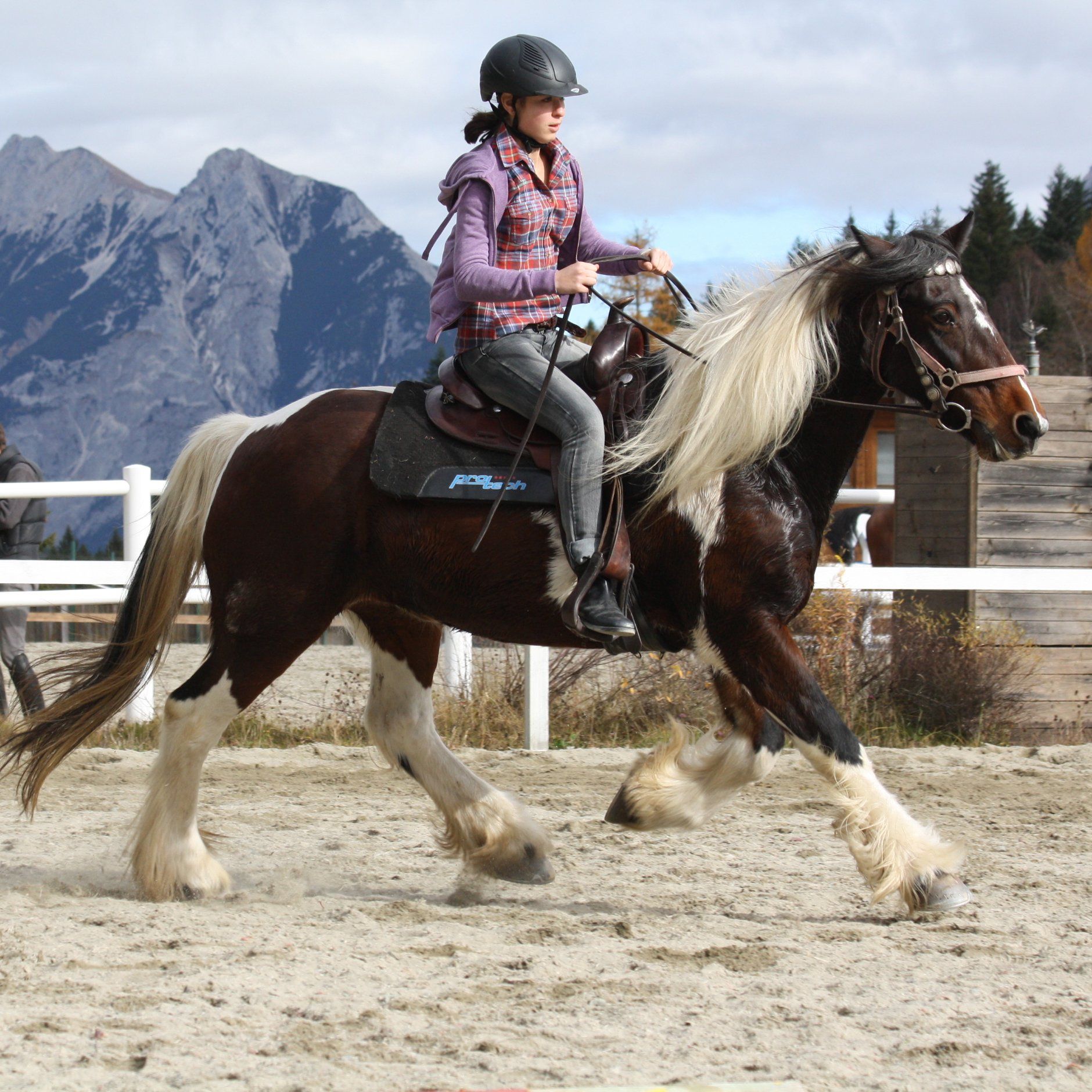 Reitschülerin galoppiert auf ihrem Pferd