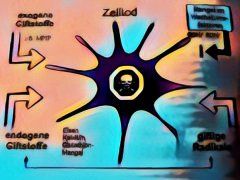 Multiple Sklerose MS Entzündung Gehirn Multiple Sklerose MS Entzündung Gehirn