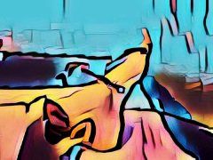 Multiple Sklerose MS SEP evozierte Potentiale Messung Multiple Sklerose MS SEP evozierte Potentiale Messung