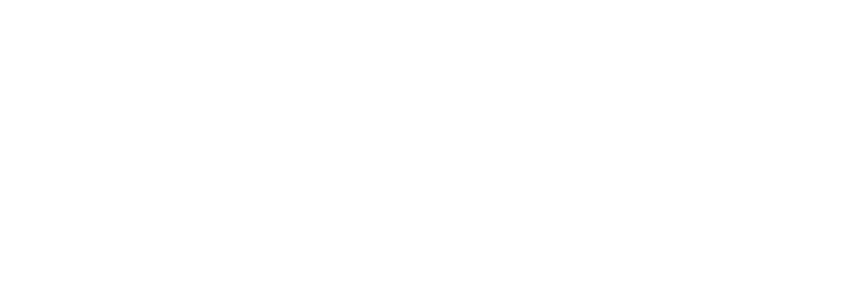 Logo Inflammable Showteam