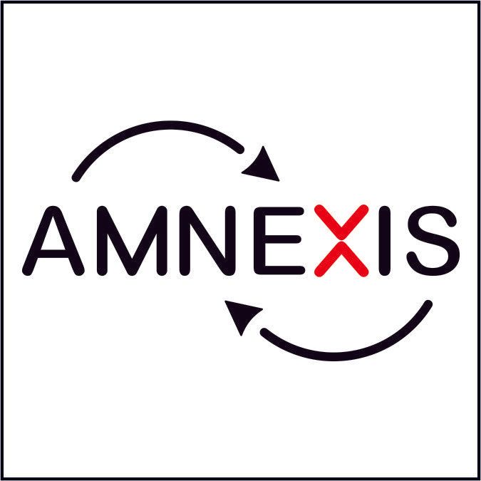 AMNEXIS Solutions Gmbh