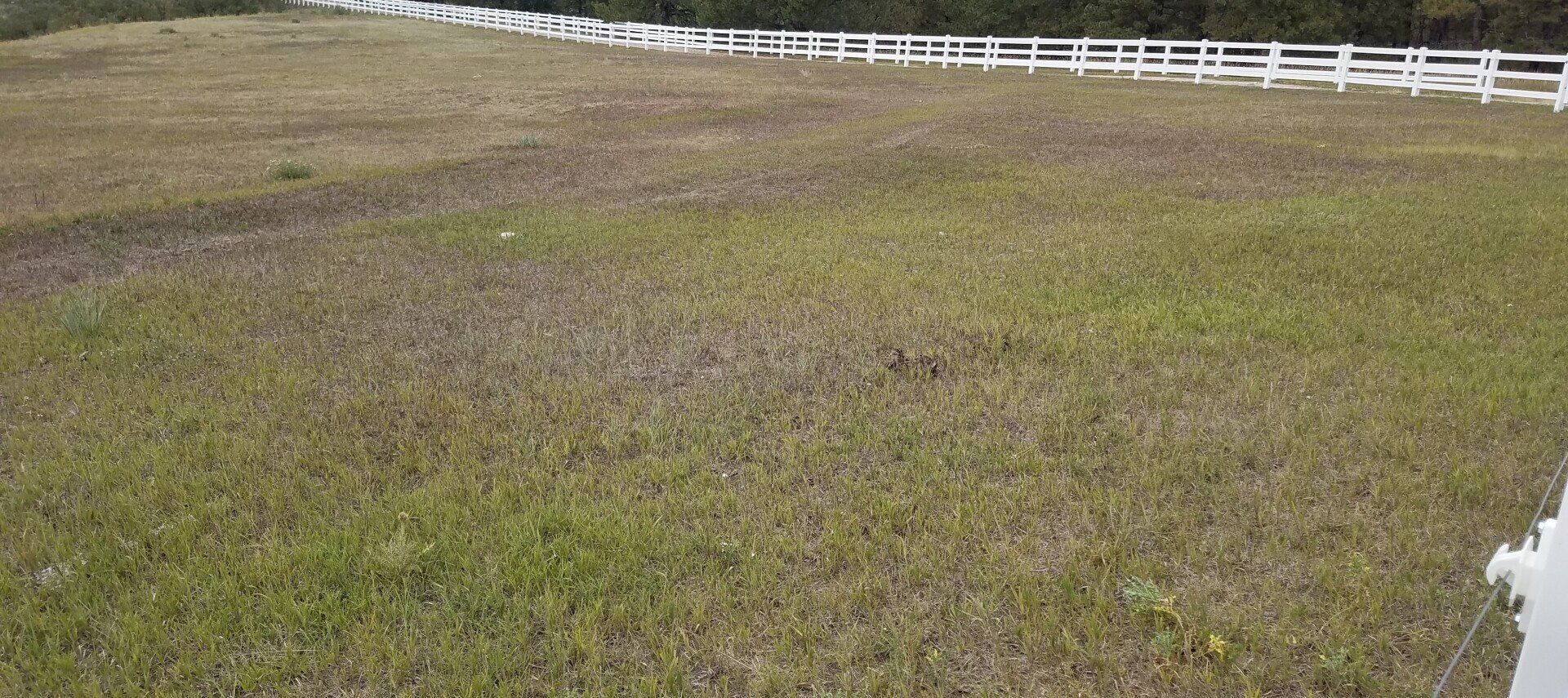 Leach Field