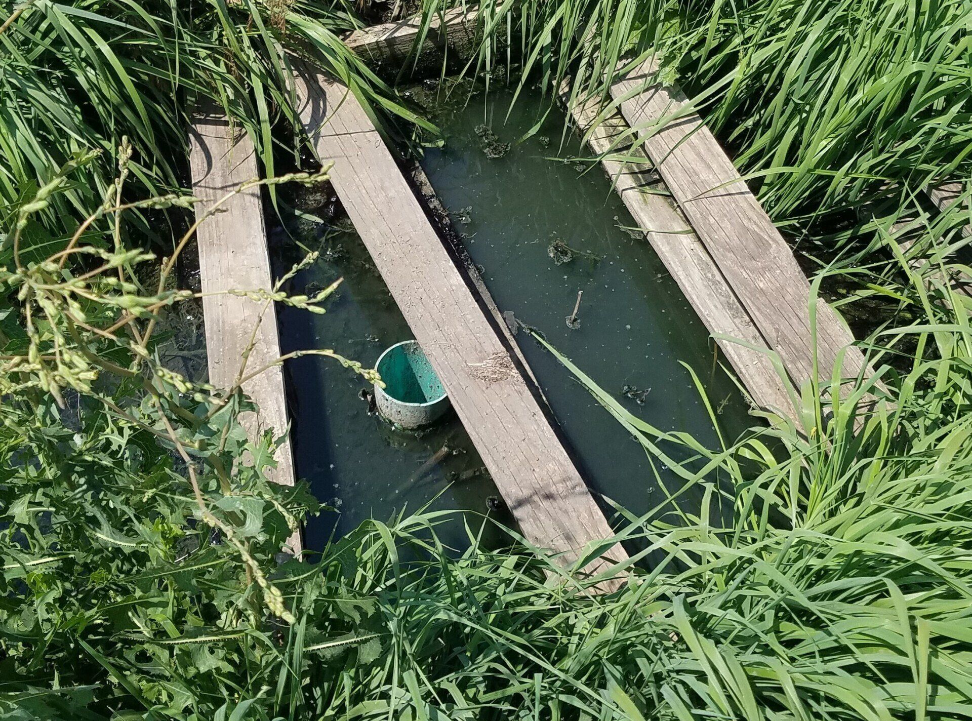 Leach Field Failure