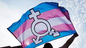 Colectivo LGTB Bandera azul, rosa y blanca con símbolo masculino y femenino