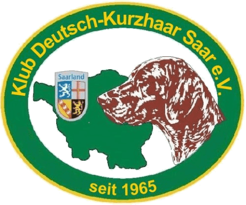 Delfin Elettronica Logo